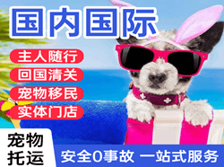 成都天府机场空运国际宠物托运 【国